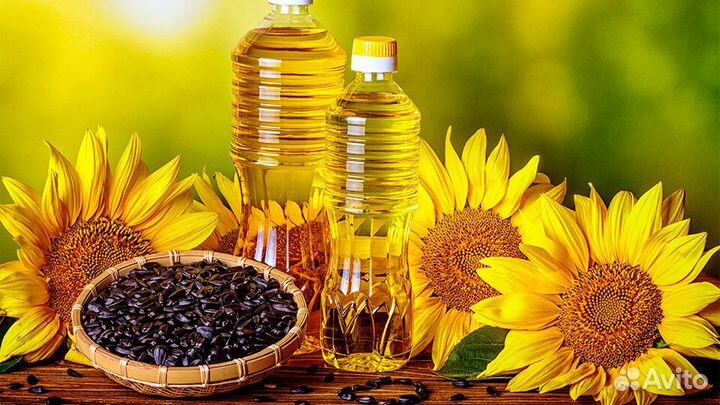 Оборудование для производства растительного масла