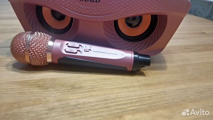 Караоке Sdrd sd 306