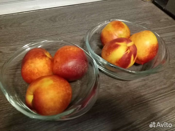 Тарелки с крышками