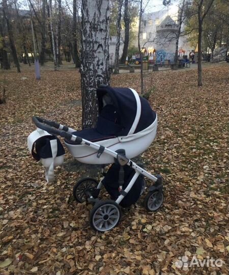 Коляска anex sport
