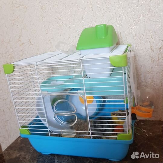Хомяк джунгарский с клеткой