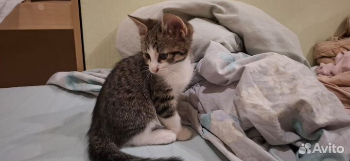 Заберите их пожалуйстааа