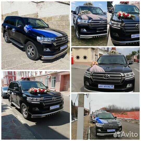 Прокат авто, украшений и микроавтобусов на свадьбы