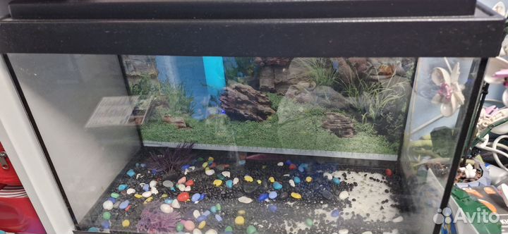 Аквариум 60 литров
