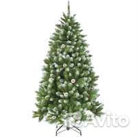 Ель TriumfTree 