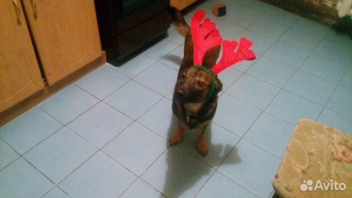 Ремонт квартир