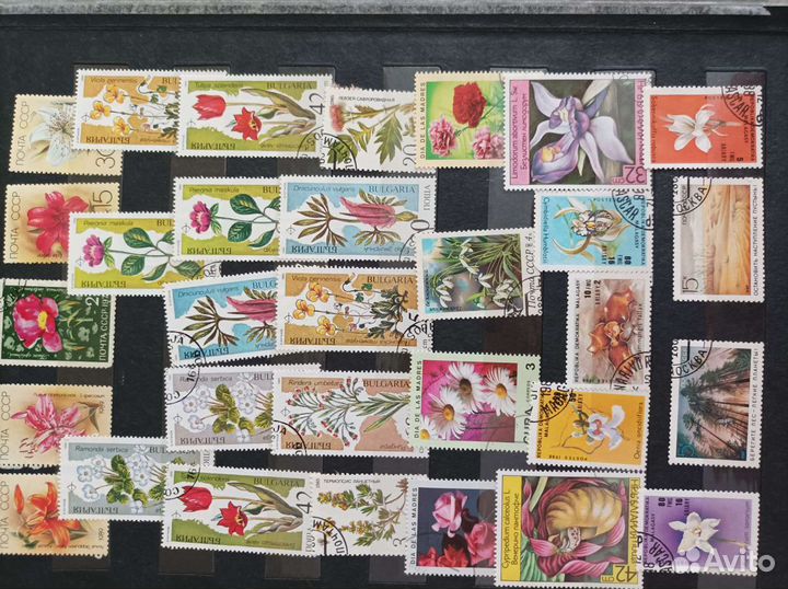 Марки альбом