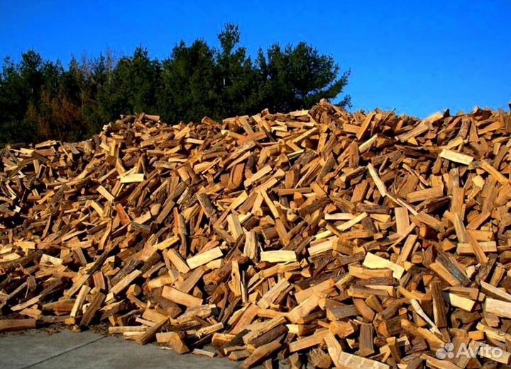 Дрова подсушенные