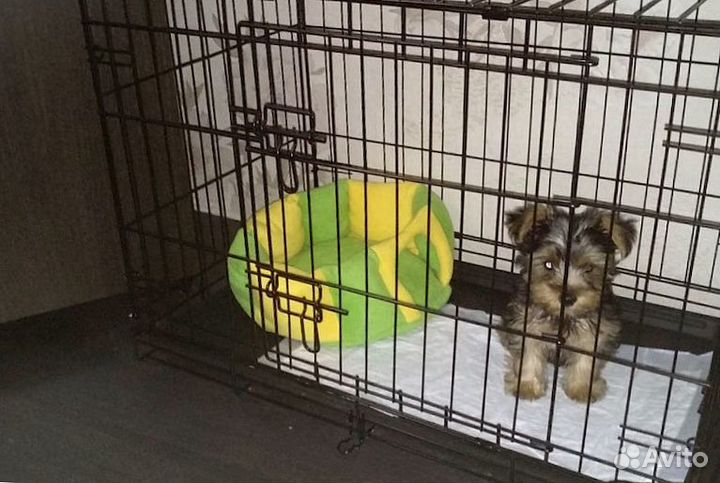 Клетка для собак