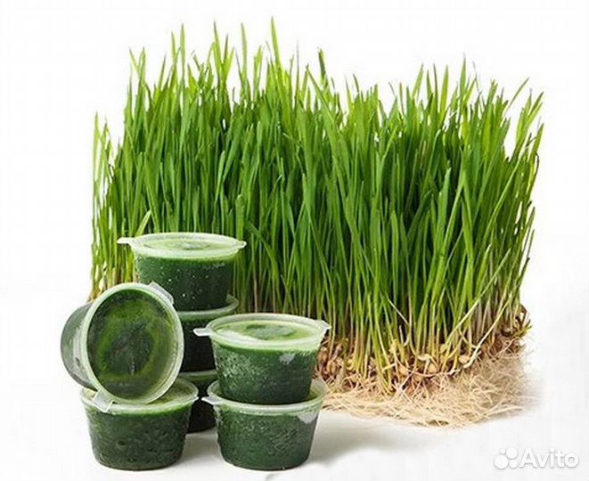 Соусник для витграсс