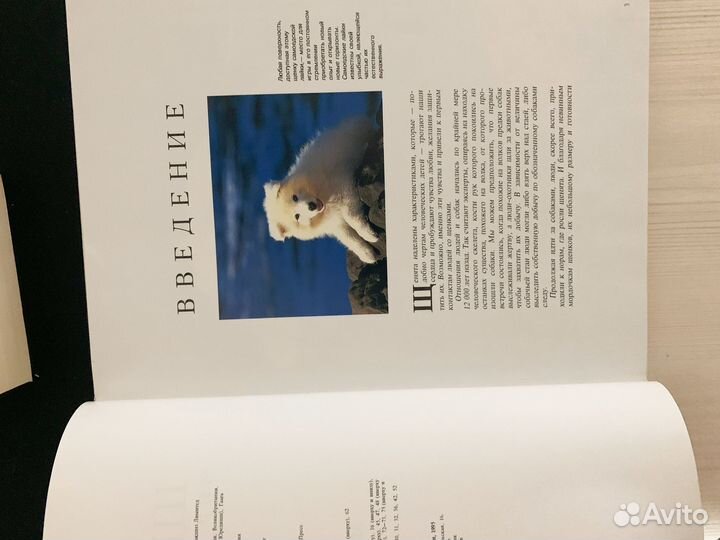 Щенята книга