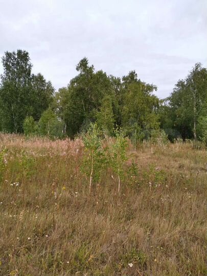 Участок 30 сот. (ИЖС)