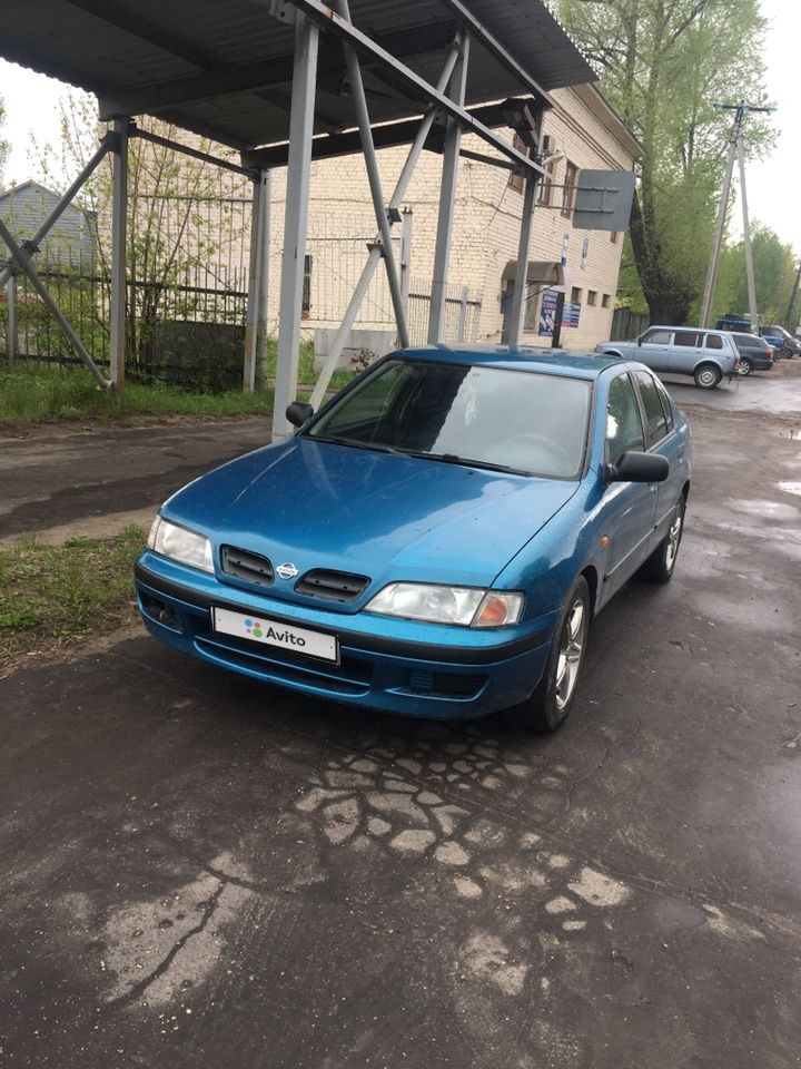 Nissan Primera: фото владельца