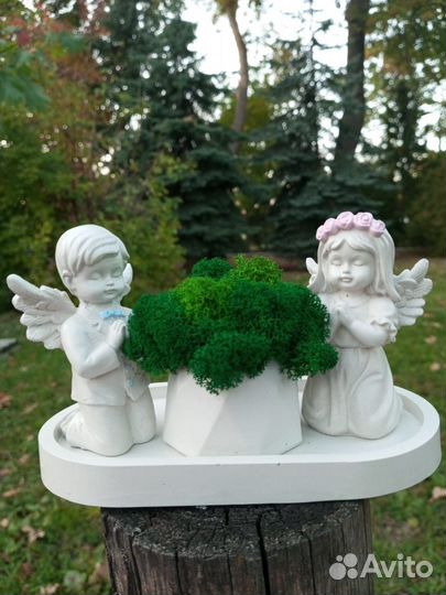 Кашпо со мхом