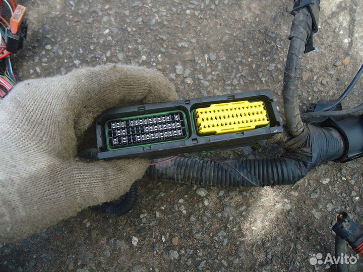 Электропроводка моторного отсека (Nissan Almera)