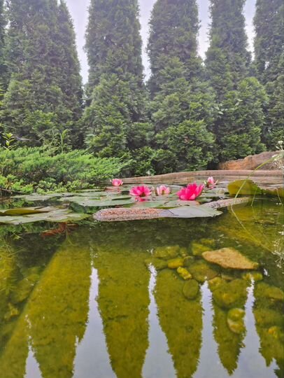 Дом 100 м² на участке 3 сот.