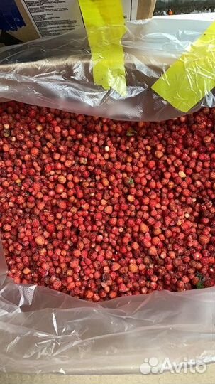 Земляника замороженная