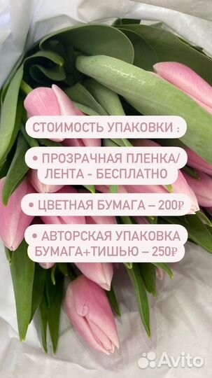 Тюльпаны