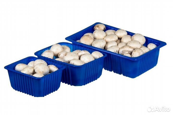 Упаковщик грибов вахта в Москве с питанием