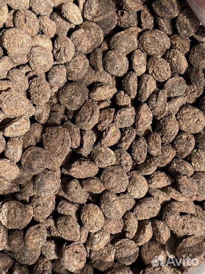 Корм для собак bestfeed