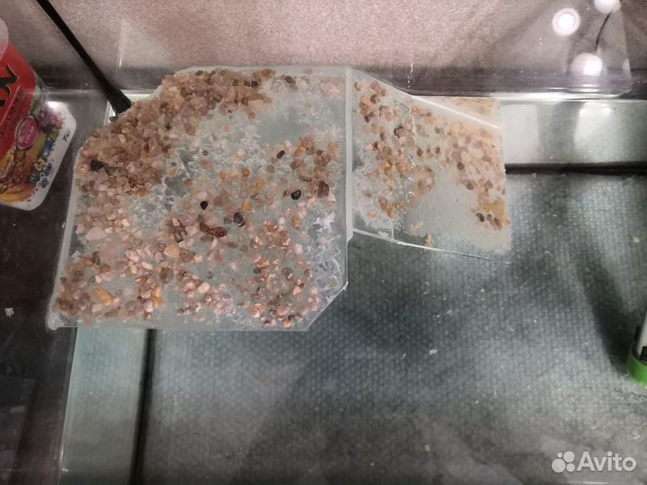 Аквариум для красноухой черепахи