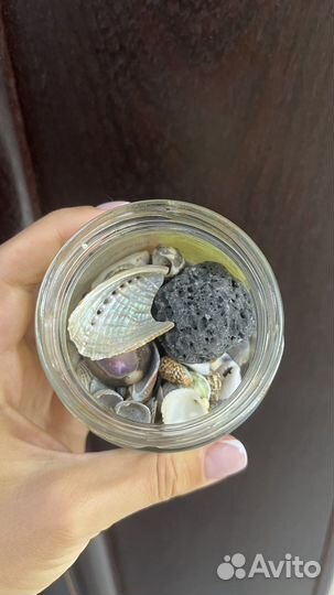 Ракушки для декора или поделок