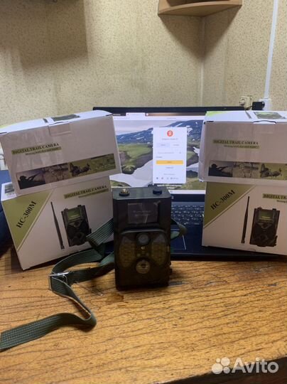 Фотоловушка