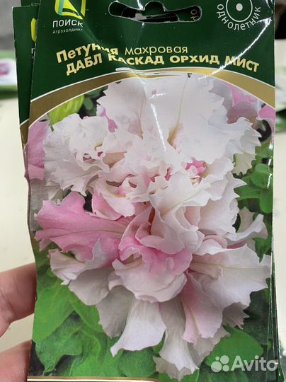 Петуния семена, проф семена