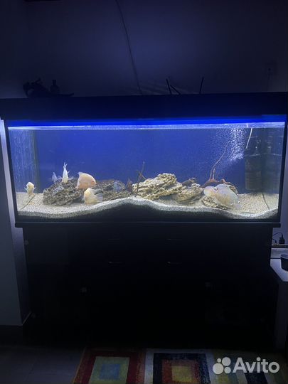 Аквариум с тумбой
