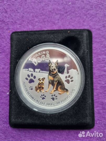 Монета Австралийская пастушья собака