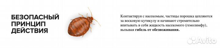 Гектор от клопов