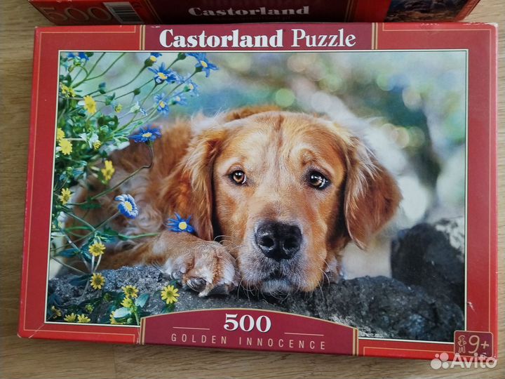 Пазлы 500 деталей