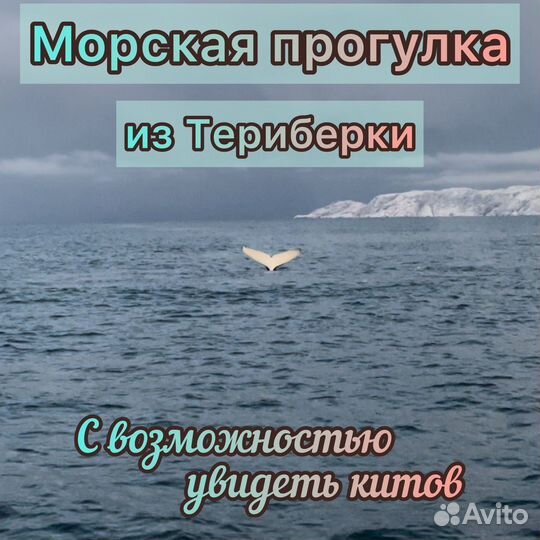 Териберка экскурсия из Мурманска