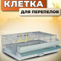 Клетка для перепелов на 30 голов (кп-30), Солнечногорск