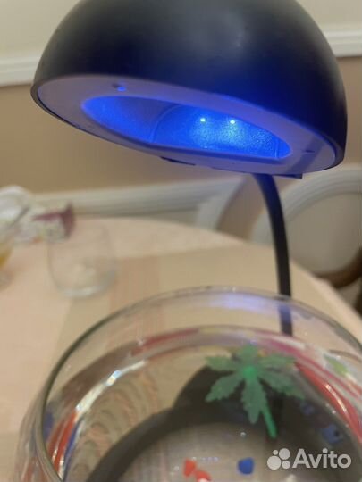 Аквариум с подсветкой 3л