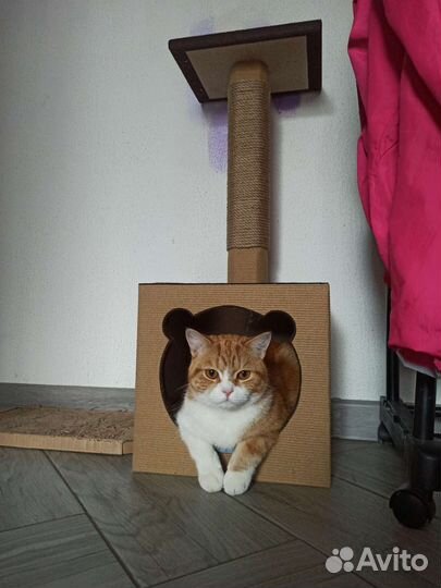 Когтеточка с домиком