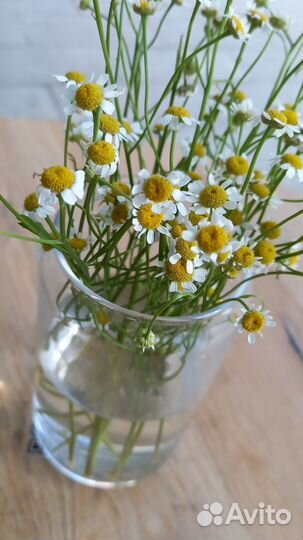 Мобильная фотосессия