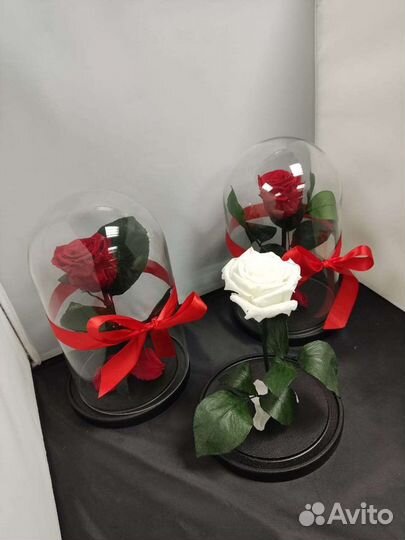 Роза в колбе