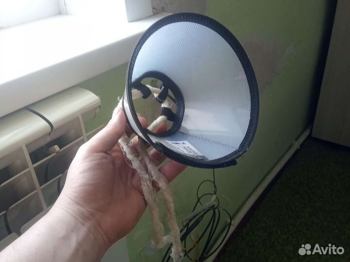 Воротник для животных