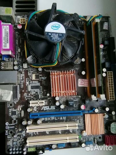 Asus p5kpl AM