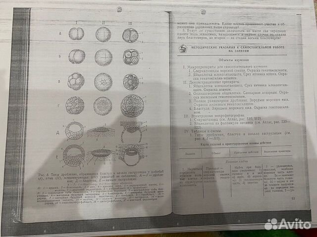 Книга по гистологии