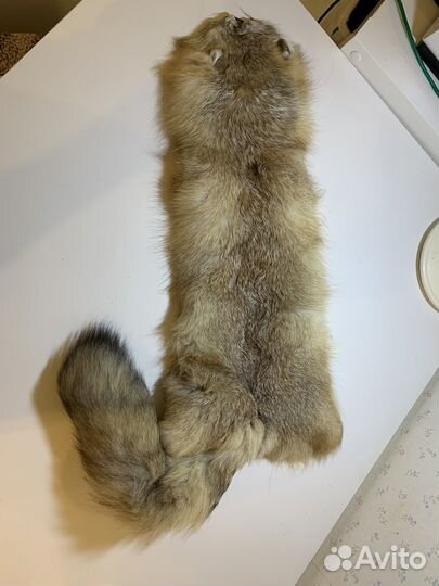 Шкурка корсака