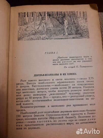 Винтаж: Занимательная ботаника 1934 г Цингер