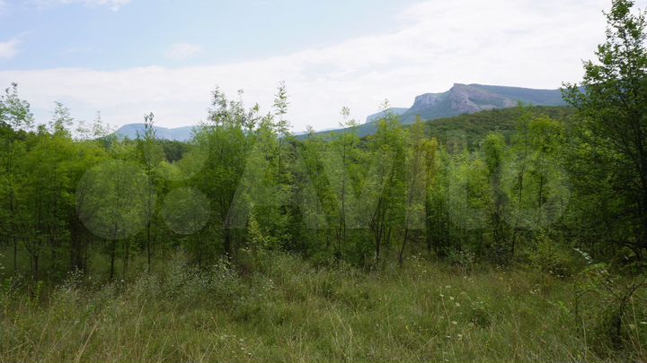 Участок 3,5 га (СНТ, ДНП)