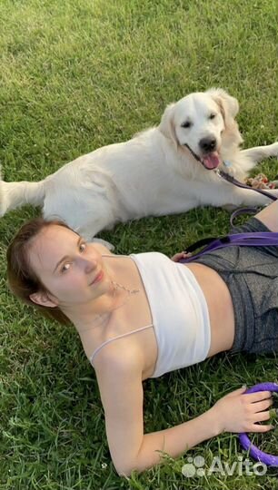 Выгулы Догситтер передержка собак догняня ВДНХ