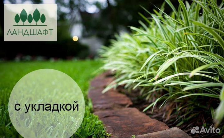 Парковый рулонный газон с укладкой Подольск