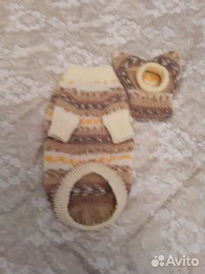 Вязаный комплект для собаки