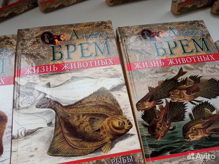 А. Брем энциклопедия о жизни животных