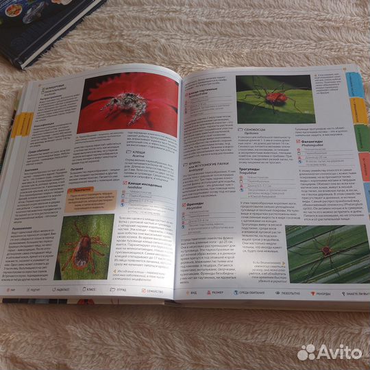 Энциклопедия про животных