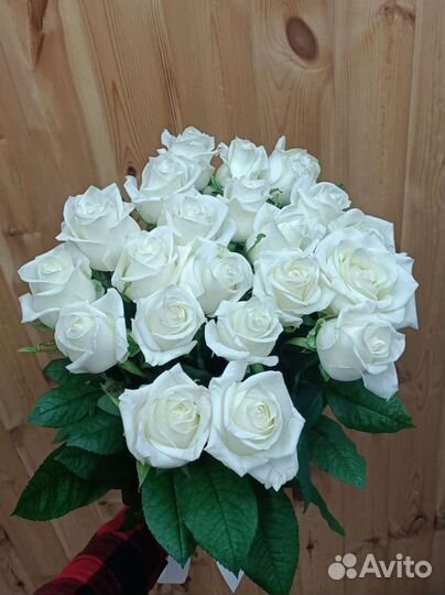 Букет свежих Голландских роз 15шт 70см